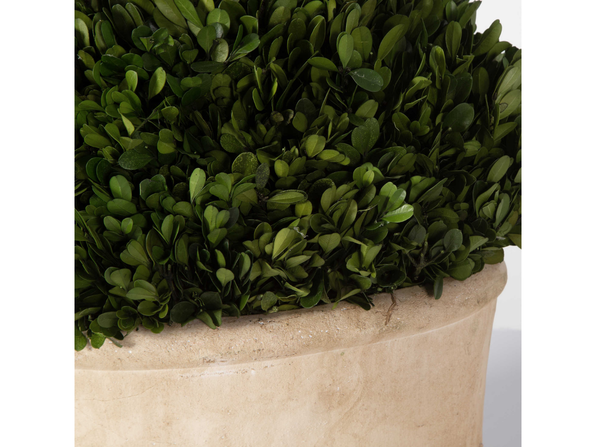 Dômes ovales Percy d'Abbyson Home, lot de 2