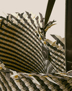 Cabas Havana Medium à rayures | Carrara