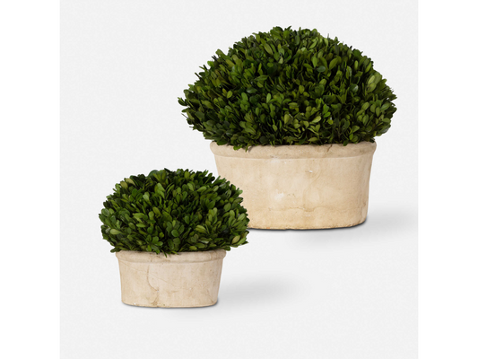 Dômes ovales Percy d'Abbyson Home, lot de 2