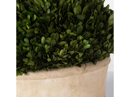 Dômes ovales Percy d'Abbyson Home, lot de 2